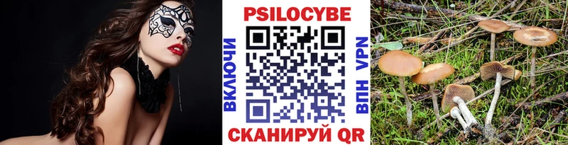 Галлюциногенные грибы GOLDEN TEACHER  Кологрив 