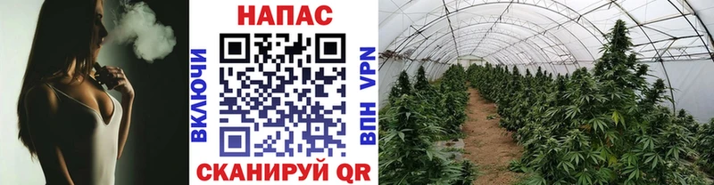 Бошки Шишки THC 21% Кологрив
