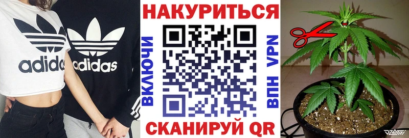 Бошки Шишки LSD WEED  где купить наркоту  Кологрив 